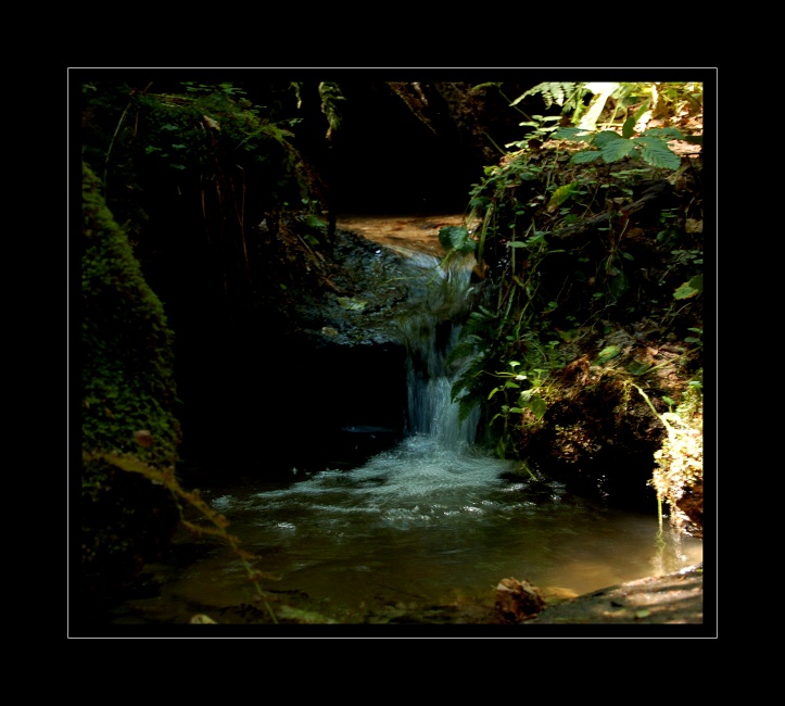 DSC_0033.jpg